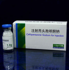 Bột cho tiêm GMP Certified Cefoperazone Sodium cho tiêm