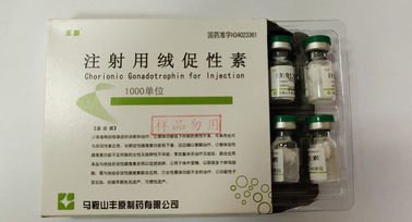 Chorionic Gonadotrophin dùng cho tiêm, HCG, bột trắng, tiêu chuẩn USP