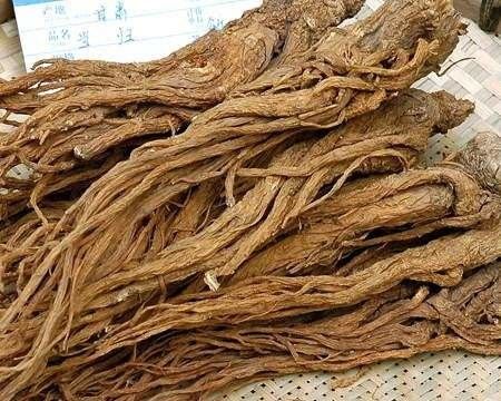 First Grade Traditional Chinese Medicine / Angelica Sinensis Extract